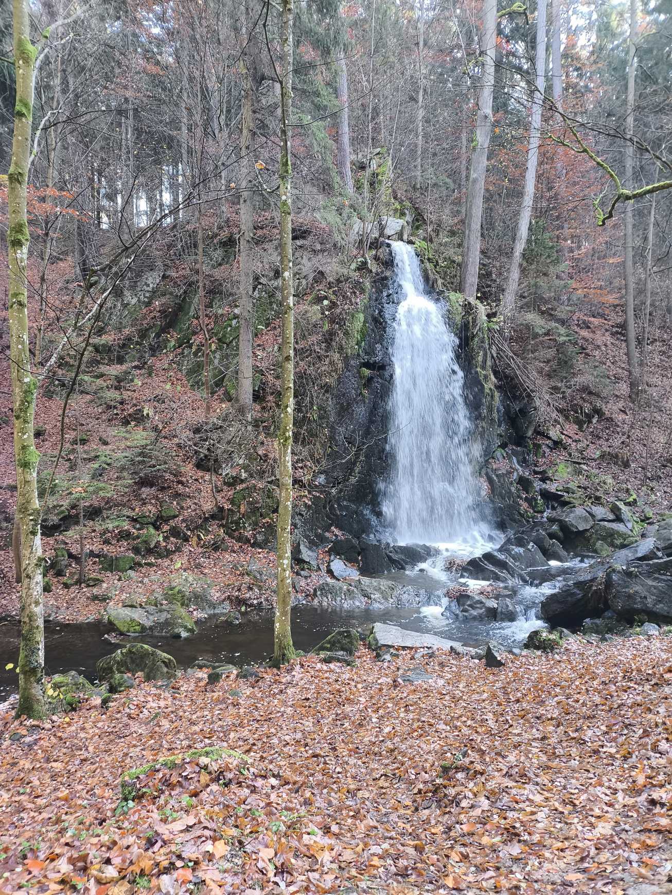 Foto 12
